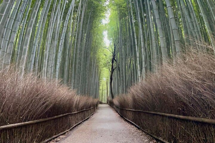 Discover Arashiyama: Kyoto Bamboo Grove & Hidden Temple Walking Tour photo 4