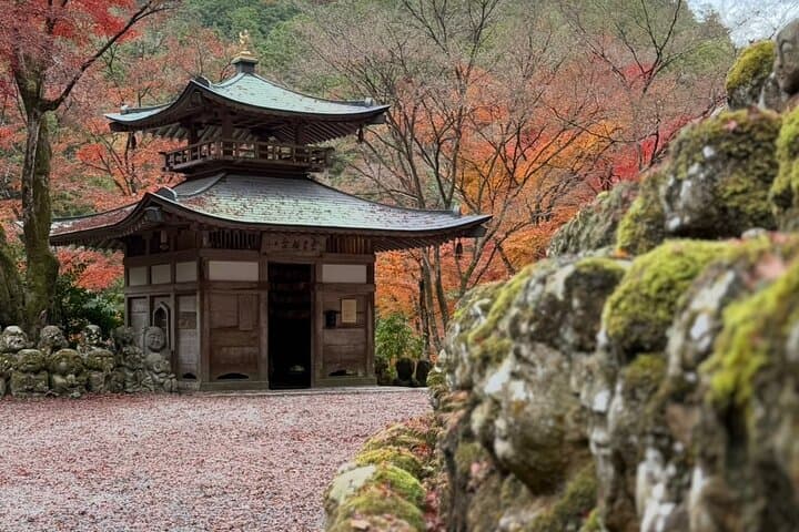 Discover Arashiyama: Kyoto Bamboo Grove & Hidden Temple Walking Tour photo 3