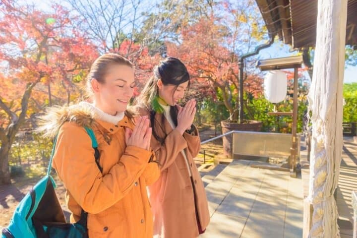 Mt. Fuji Tea Fields, Strawberry Picking & Sengen Shrine — Small-Group Day Tour from Tokyo photo 3