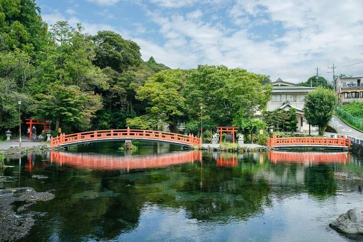 Mt. Fuji Tea Fields, Strawberry Picking & Sengen Shrine — Small-Group Day Tour from Tokyo photo 6