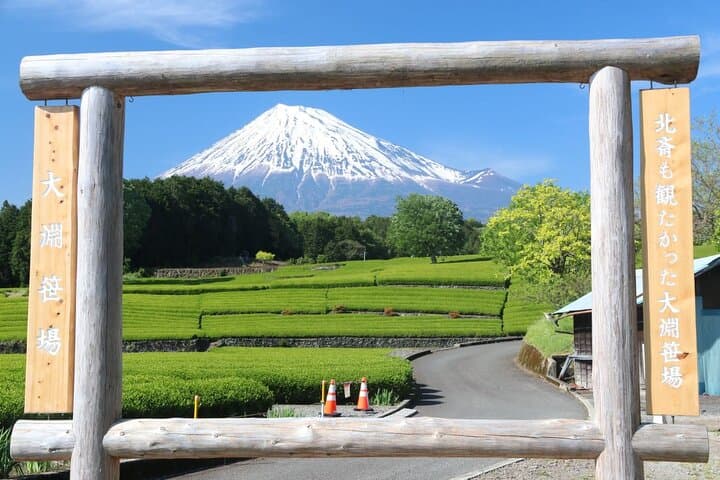 Mt Fuji Day Trip by Shinkansen & Private Car: Tea Fields, Shrine & Strawberry Picking