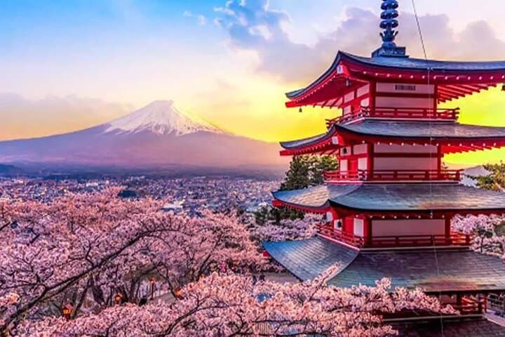 Private 10-Hour Mount Fuji View & Gotemba Outlets Tour from Yokohama photo 3