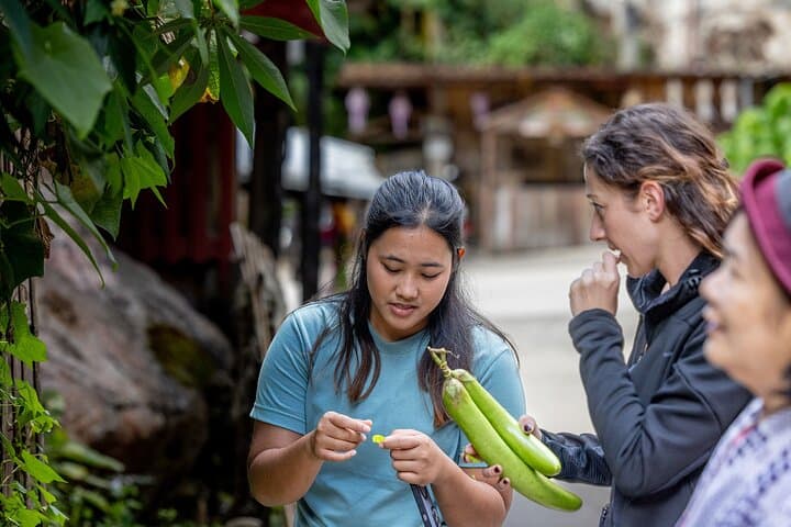Mae Kampong Forage-and-Feast: Chiang Mai Jungle Hike & Cooking Class photo 6