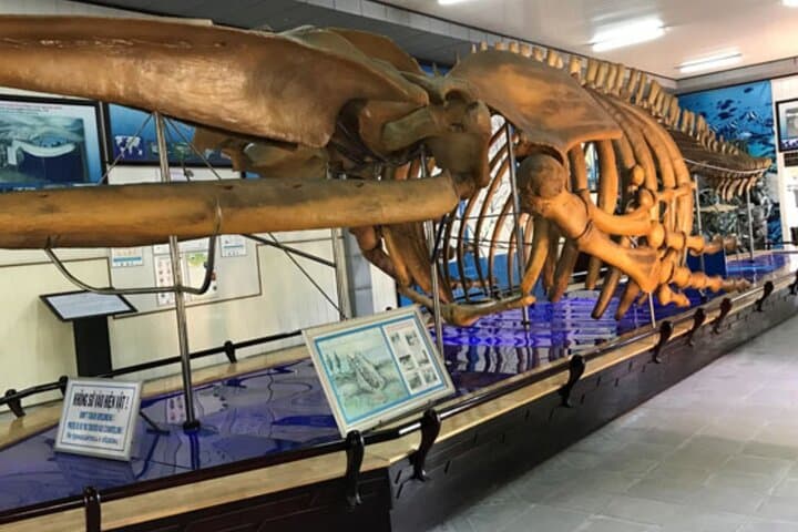 Nha Trang Half-Day Highlights & Secret Spots: Oceanography, Hon Chong and Po Nagar photo 5