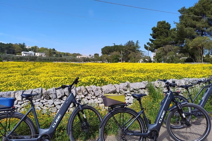 Smart & Easy E‑Bike Tour in the Itria Valley: Martina Franca to Locorotondo photo 2