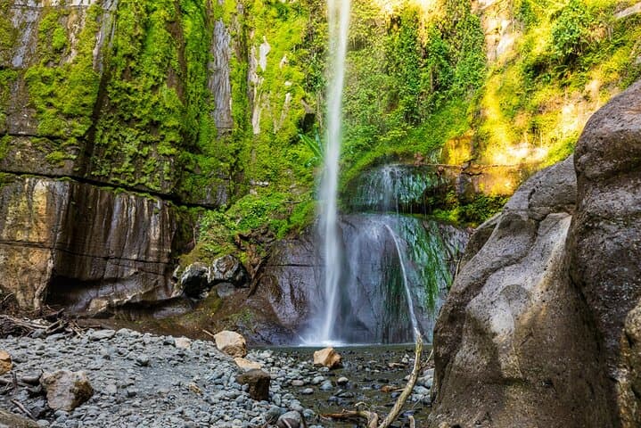 Hike to Napuru Waterfalls: Meru Forest Day Hike from Arusha