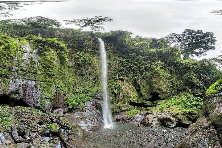 Hike to Napuru Waterfalls: Meru Forest Day Hike from Arusha photo 2
