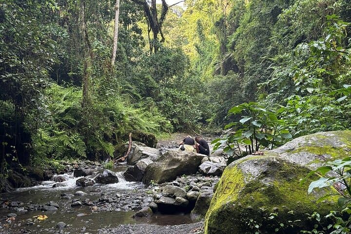 Hike to Napuru Waterfalls: Meru Forest Day Hike from Arusha photo 4