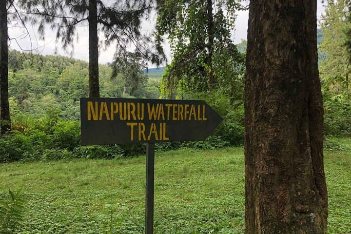 Hike to Napuru Waterfalls: Meru Forest Day Hike from Arusha photo 6