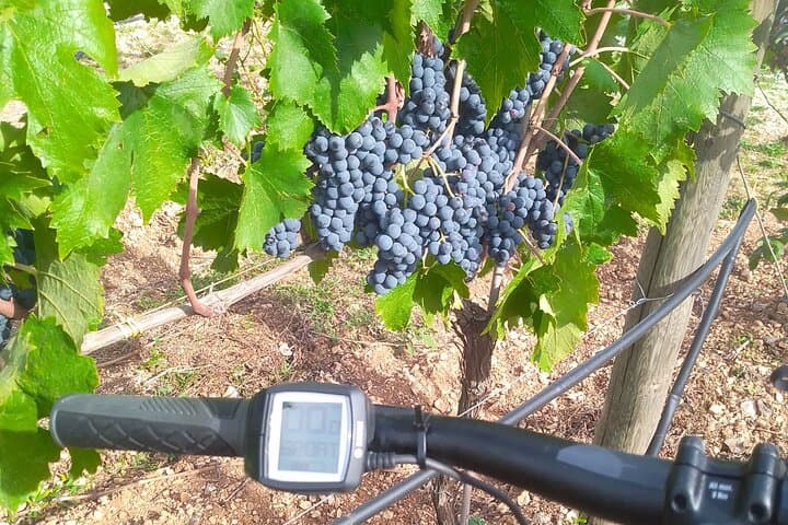 E‑bike Valle d'Itria Trulli & Wine Tour from Martina Franca