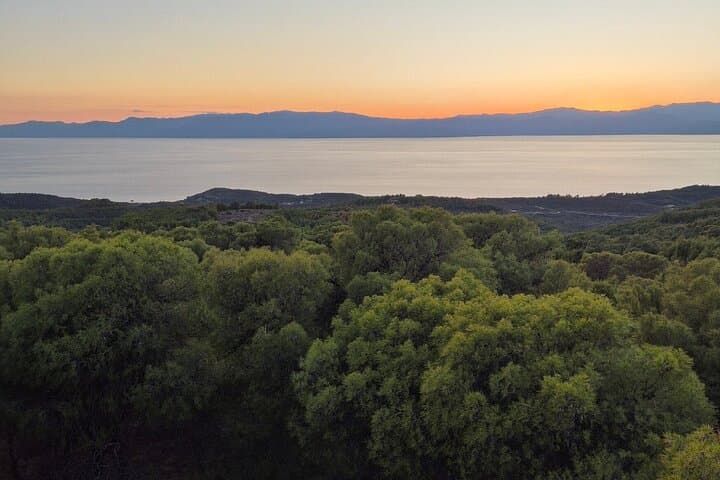 Meditation and Herbal Walk in Spetses Forest: Make Your Own Essential Oil
