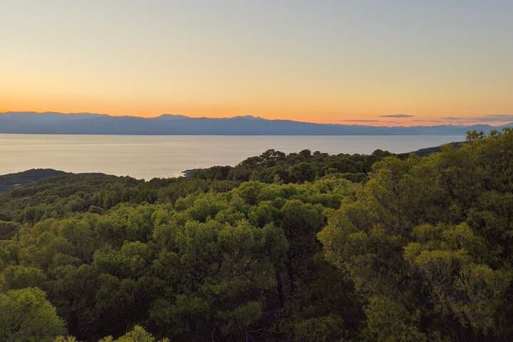 Meditation and Herbal Walk in Spetses Forest: Make Your Own Essential Oil photo 3