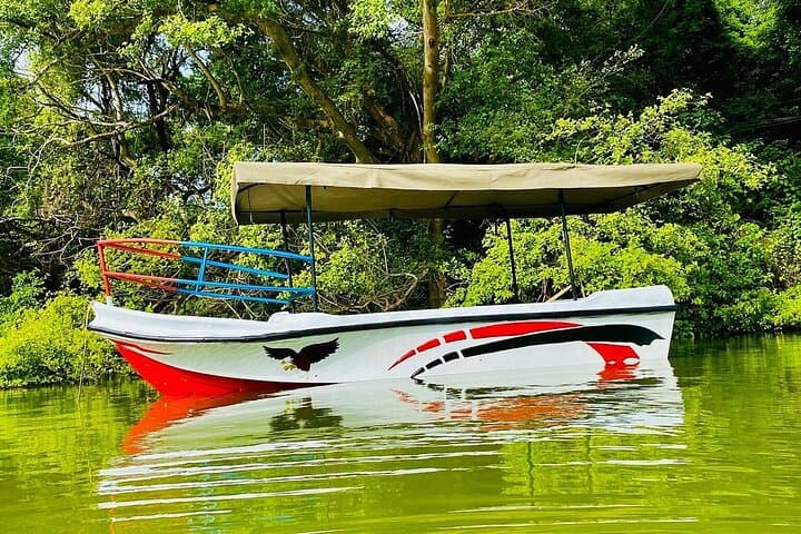 Lake Duluti Canoe Adventure: Paddle Arusha’s Volcanic Crater Lake photo 2
