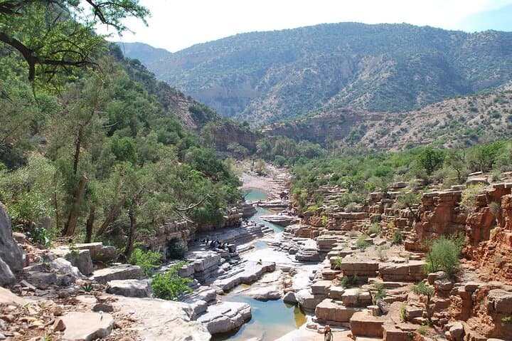 Paradise Valley Day Trip from Agadir — Goats in Argan Trees & Souk El Had Visit photo 3