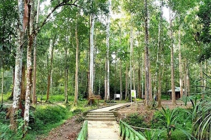 Sorong Southwest Papua Full-Day Cultural & Nature Tour photo 4