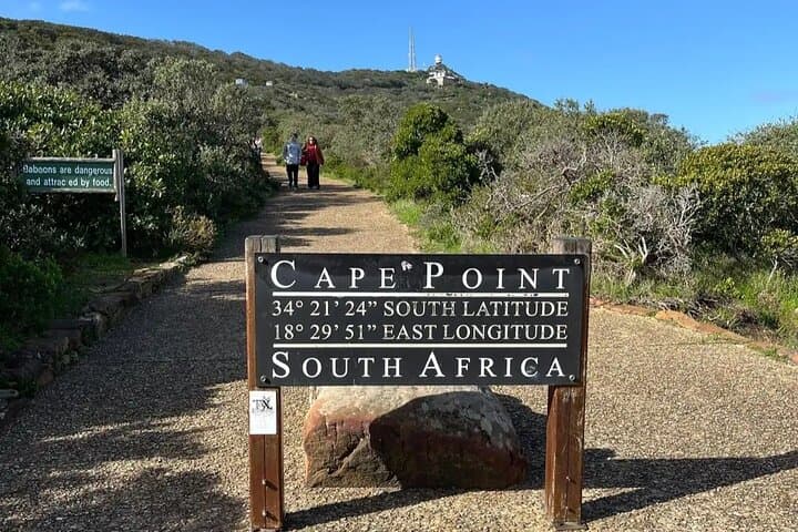 Cape Town Full-Day: Table Mountain, Cape of Good Hope & Boulders Beach photo 3