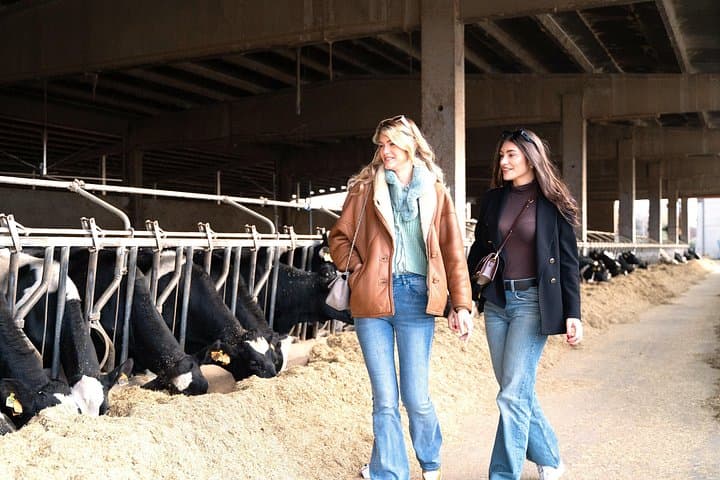 Emilia Food Excellence: Parmesan, Wine & Traditional Balsamic Tasting Day from Modena photo 3
