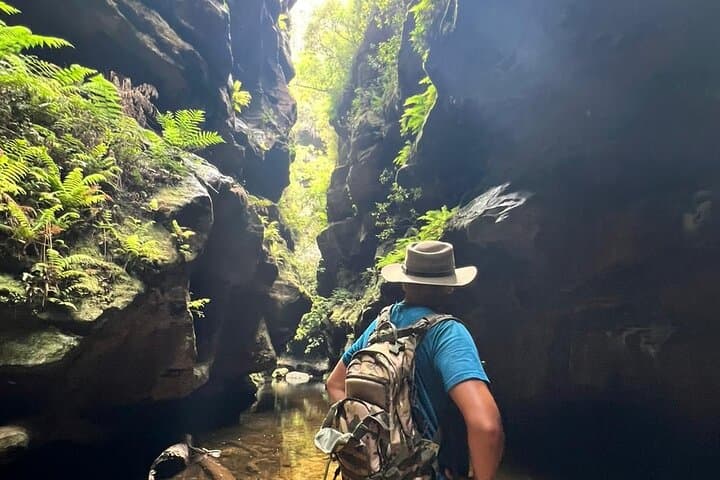 Blue Mountains Grand Canyon Private Hike — Full-Day Guided Walk from Sydney photo 6