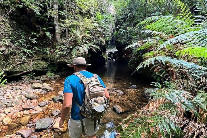 Blue Mountains Grand Canyon Private Hike — Full-Day Guided Walk from Sydney photo 5