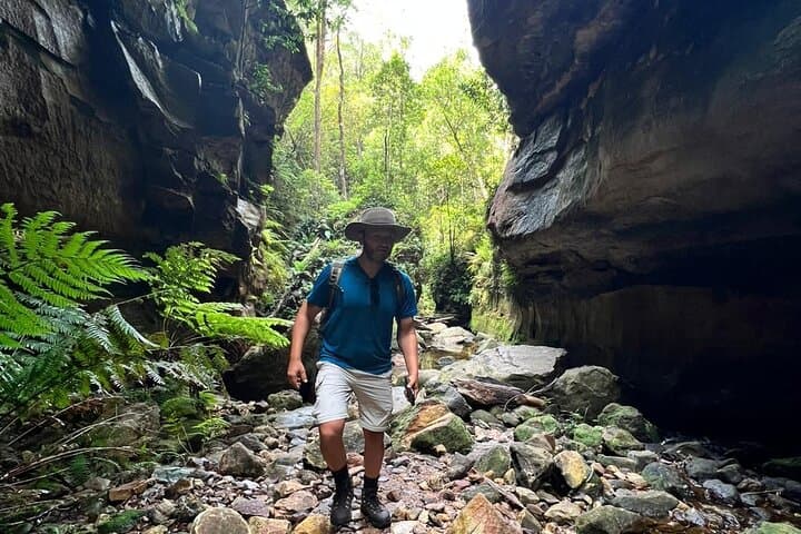 Blue Mountains Grand Canyon Private Hike — Full-Day Guided Walk from Sydney