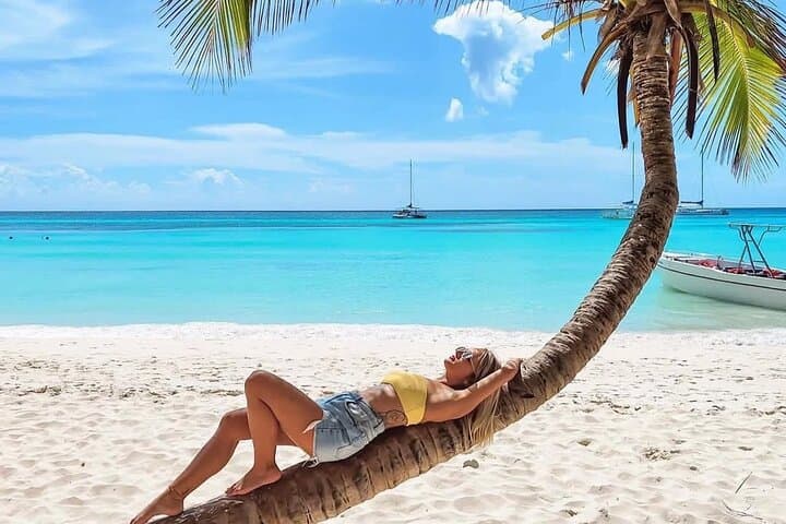 Saona Island Catamaran Day Trip from Punta Cana — Natural Pool, Open Bar & Beach Lunch photo 4