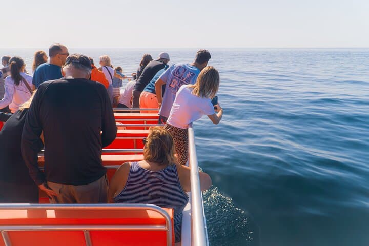 Dolphin Watching and Benagil Cave Speedboat Tour from Lagos photo 6