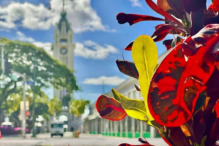 Self-Guided Walking Tour of Downtown Honolulu & Chinatown — History, Food, Landmarks photo 4