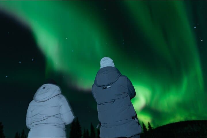 Chasing the Aurora: Guaranteed Northern Lights Tour in Rovaniemi with Local Guide
