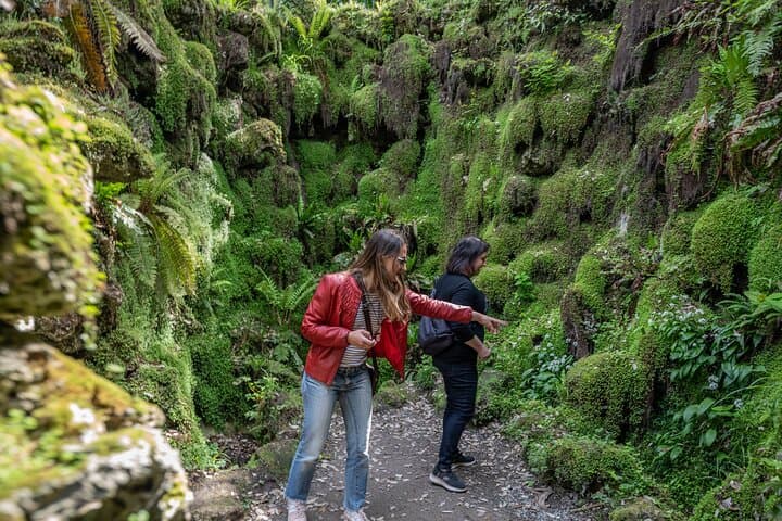 Discover Wicklow Garden Tour: Ireland’s Most Stunning Gardens & Flavours photo 2