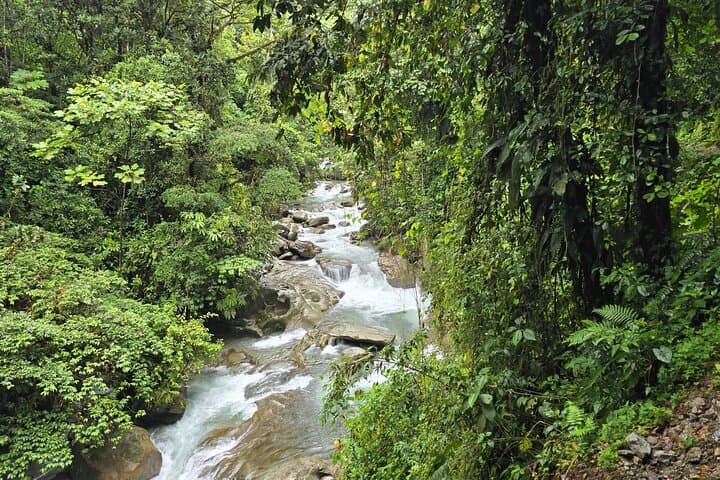 Danube and Mermaid Oasis Day Trip from Cali — Farallones Hike & Natural Pools photo 2