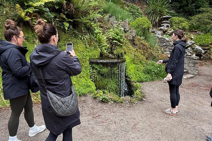 Discover Wicklow Garden Tour: Ireland’s Most Stunning Gardens & Flavours photo 5
