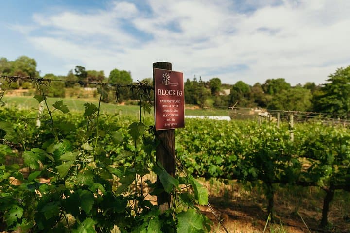 Full-Day Cape Winelands Wine Tour: Paarl, Franschhoek & Stellenbosch Tastings photo 3