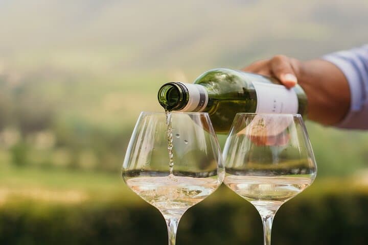 Full-Day Cape Winelands Wine Tour: Paarl, Franschhoek & Stellenbosch Tastings photo 4
