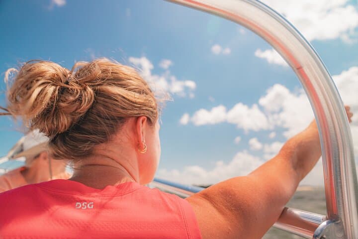 90-Minute Hilton Head Dolphin Cruise: Broad Creek to Calibogue Sound photo 4