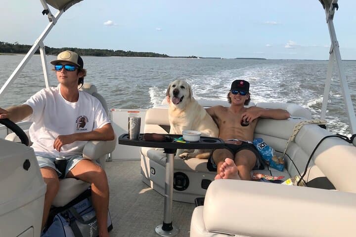 Hilton Head 2-Hour Pontoon Rental: Cruise Broad Creek, Dolphins & Sandbars photo 2