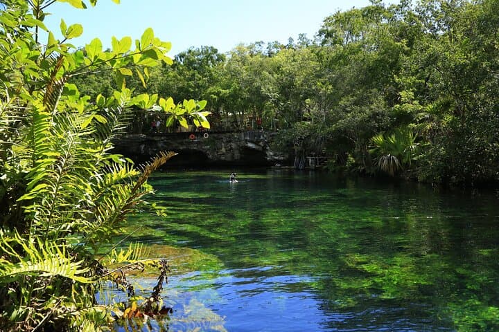 Mayan Snorkel Tour: Open Cenote, Cavern Swim & Yal-Ku Lagoon photo 2