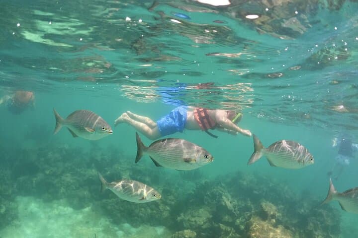Mayan Snorkel Tour: Open Cenote, Cavern Swim & Yal-Ku Lagoon photo 5