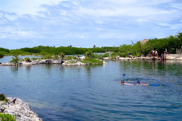 Mayan Snorkel Tour: Open Cenote, Cavern Swim & Yal-Ku Lagoon photo 6