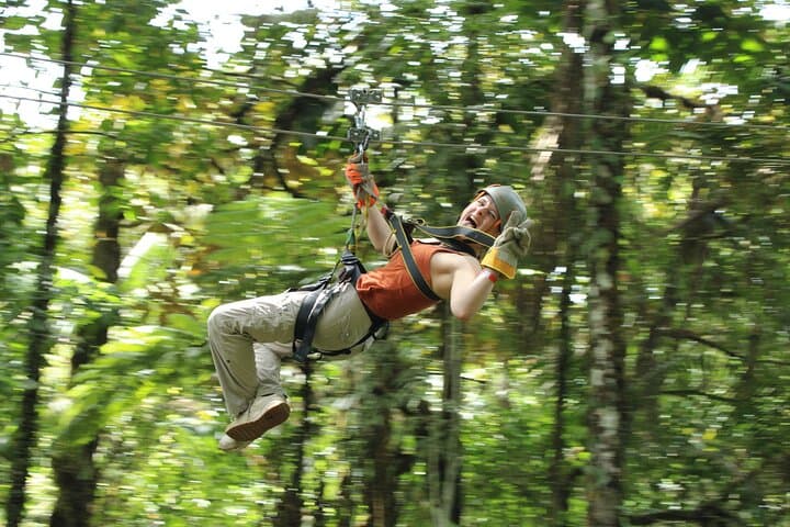 Braulio Carrillo Rainforest Zipline: Canopy Flight from San José photo 3