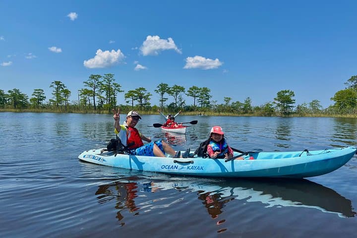Yellow River Swamp Kayak Tour: Serene 4.5-Mile Paddling through Florida Cypress photo 2