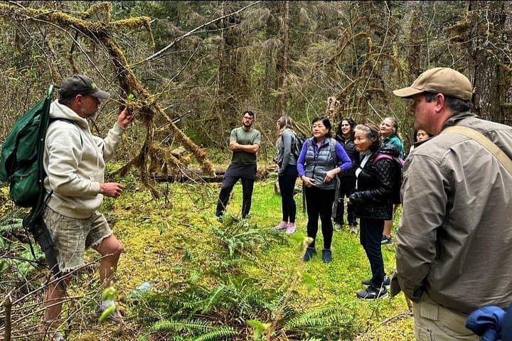 Foraging the Olympic Peninsula: Wild Edibles & Mushroom Walk near Brinnon