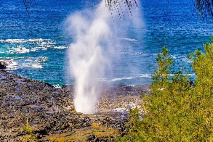 Poipu Sea Kayak Tour: Whale Watching, Turtles & Snorkel in Kauai photo 3