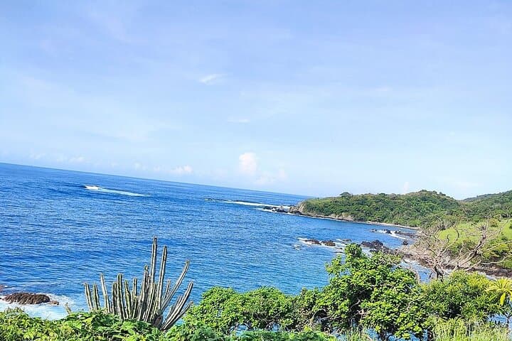 Playa Larga Beach Horseback Ride — 1.5–2 Hour Coastal Trail Near Zihuatanejo photo 2
