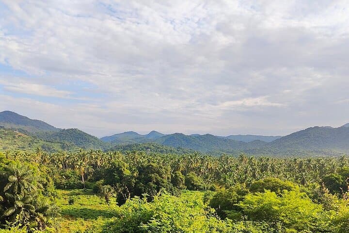 Playa Larga Beach Horseback Ride — 1.5–2 Hour Coastal Trail Near Zihuatanejo photo 3