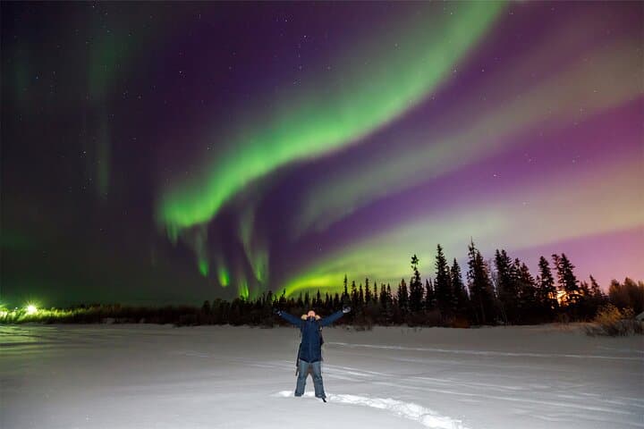 Chasing the Aurora: 3-Hour Northern Lights Hunt from Rovaniemi photo 3