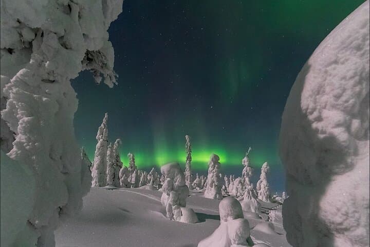 Rovaniemi Private 3-Hour Northern Lights Aurora Hunt photo 4
