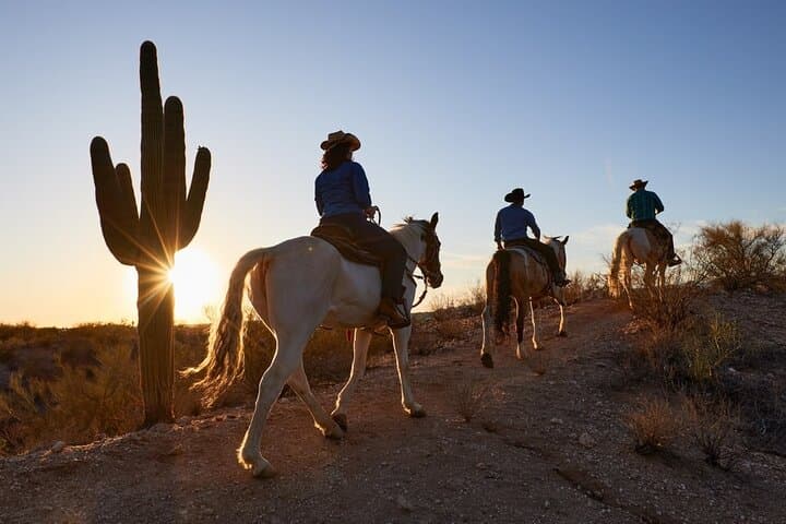 Sunset Horseback Ride at El Conquistador — Saguaro Trails Near Tucson