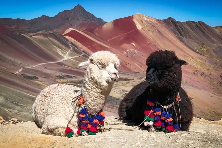 7 Colors Full Mountain Tour by Quad — Vinicunca ATV Adventure from Cusco photo 3