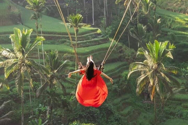 Ubud All-Inclusive Swing, Zipline & Temple Tour — Tirta Empul to Tegenungan Waterfall