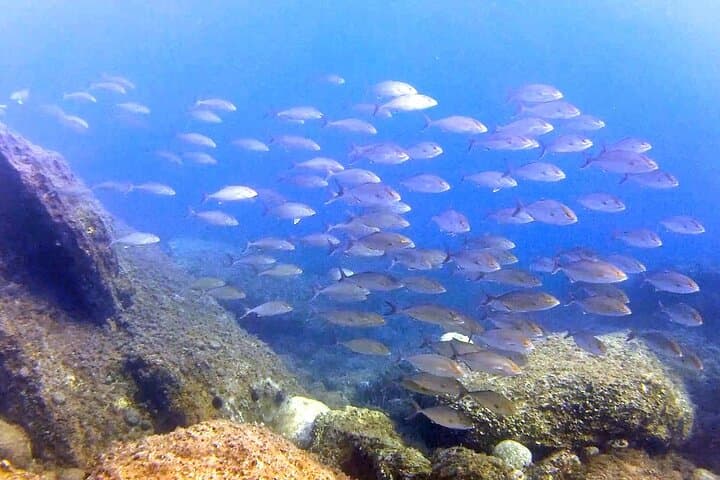 Halkidiki 2-Dive Package: Kassandra Shore Dives for Certified Divers photo 5